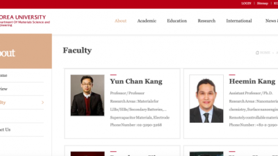 screenshot of Korean University faculty listing webpage