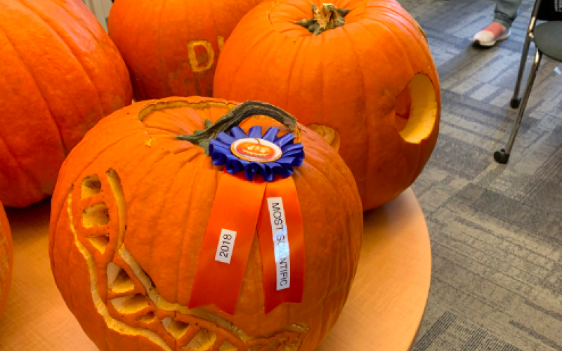 Carved pumpkin contest (2018)